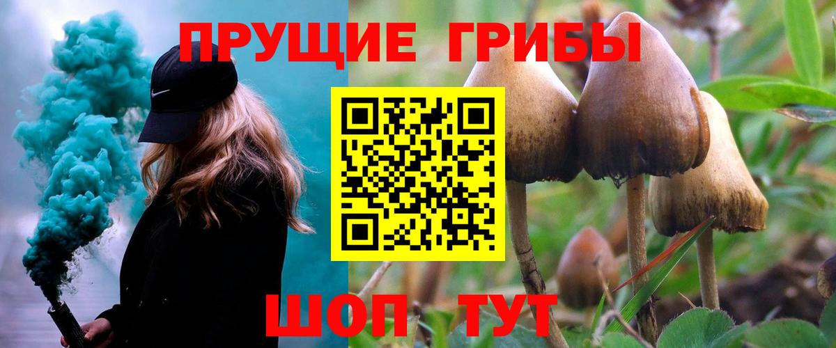 Галлюциногенные грибы ЛСД Кимры