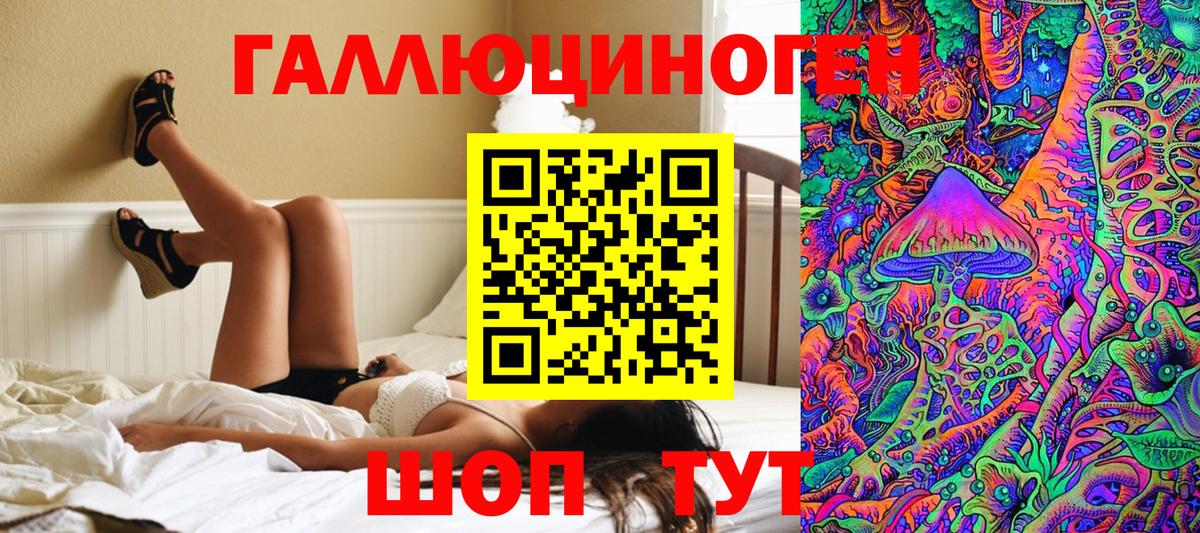 Галлюциногенные грибы Cubensis  Вход с VPN  Кимры  Псилоцибиновые грибы прущие грибы 